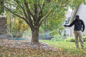 A technician spraying around the base of a tree in a residential yard for Pest Free Rochester in Rochester, MN.