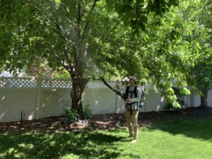 A PestEx Idaho technician using a backpack sprayer to treat a large leafy tree for pests in a backyard in Boise, ID.
