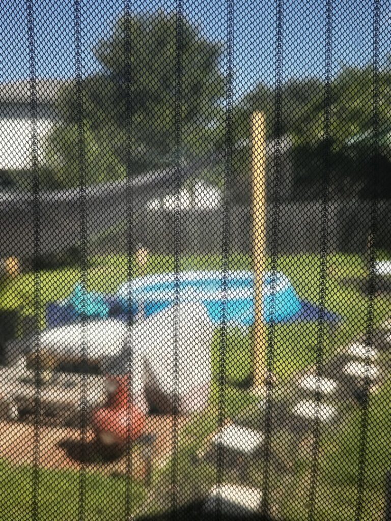 A Mosquito Hunters of Austin - Round Rock - Pflugerville technician spraying a tree trunk for mosquito control in Austin, TX.