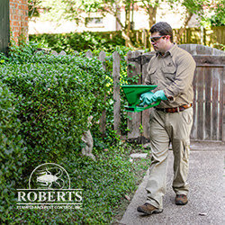 A pest control technician spreading granules for pest control treatment outdoors by Roberts Termite & Pest Control in Austin, TX