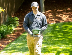 A technician spreading pest control granules on a residential lawn for Pest Free Rochester in Rochester, MN.