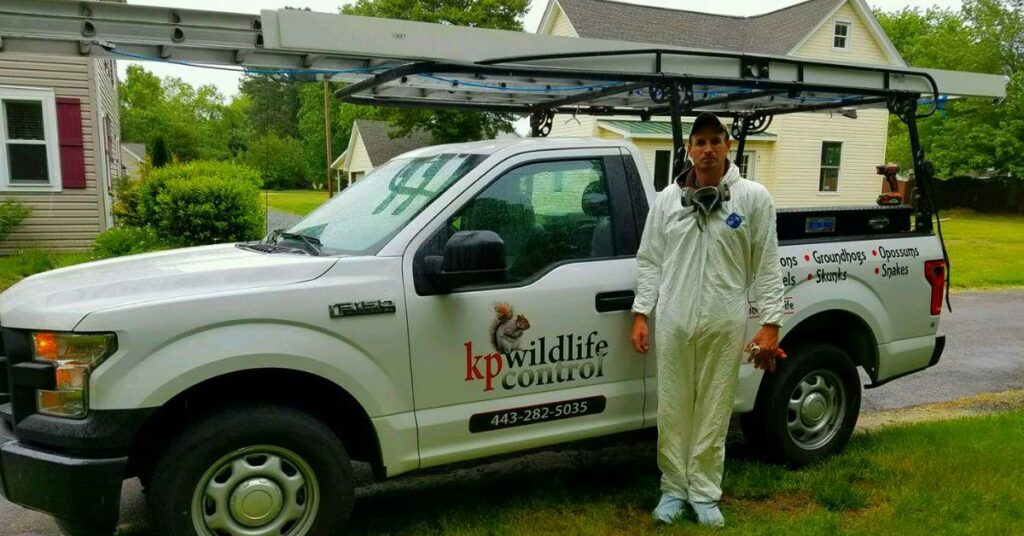 A K.P. Wildlife Control and Repairs LLC technician in a protective suit standing next to a company truck with equipment in Annapolis, MD.