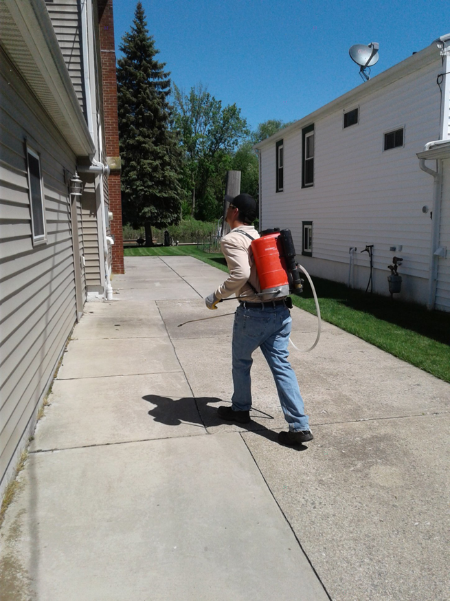An AP Pest Control technician walking with a backpack sprayer for pest treatment in Buffalo, NY.