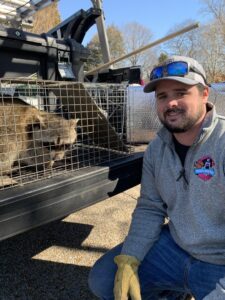 A Complete Animal Removal USA technician kneeling next to a raccoon in a trap in Louisville, KY.