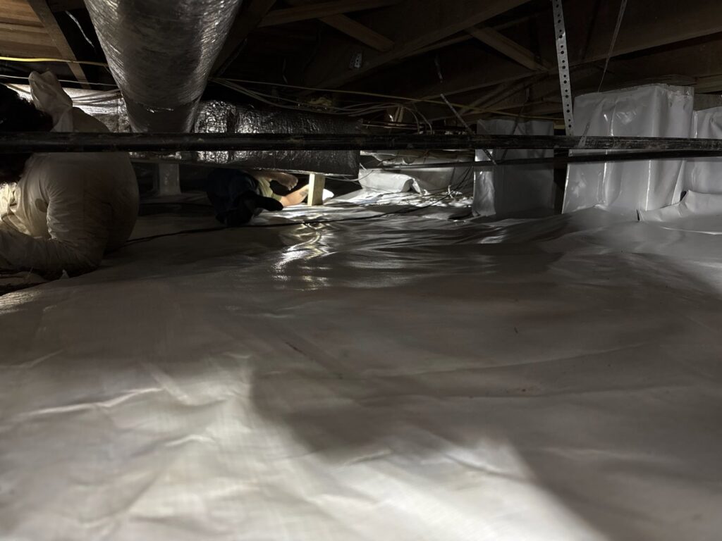 Technicians in protective suits performing crawl space remediation and encapsulation for Elite Wildlife Removal and Prevention in Nashville, TN.