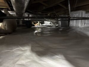 Technicians in protective suits performing crawl space remediation and encapsulation for Elite Wildlife Removal and Prevention in Nashville, TN.