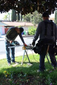 Two technicians cutting wood for repairs, likely related to termite damage, for United Termite Control in San Marcos, CA.