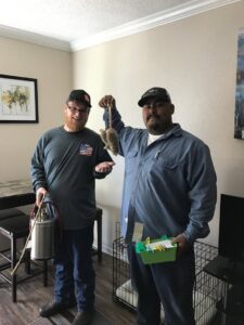 Two Pro-Tech Services technicians showing two dead rats after successful rodent control in a home in Garland, TX.