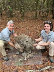 Two technicians holding a large piece of a termite mound or infested wood, demonstrating pest control work by Pinnacle Pest Solutions in Hilton Head Island, SC
