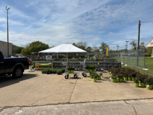 Temporary chain-link fencing enclosing an outdoor plant nursery, provided by Lynch's Temporary Fencing & Dumpster rental in Bossier City, LA.