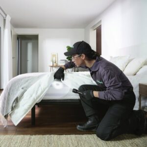 A Terminix technician inspecting a mattress for signs of pests in Springfield, IL.