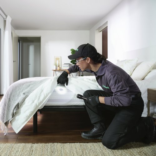 A Terminix technician inspecting a mattress for signs of pests in Springfield, IL.