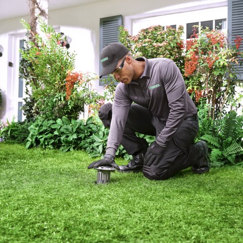 A Terminix technician installing a pest bait station in a residential lawn in Springfield, IL.