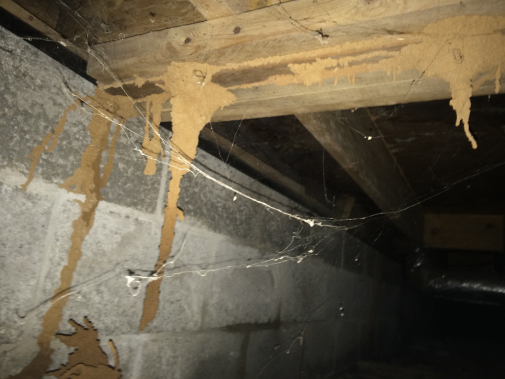 Extensive termite activity and mud tubes on foundation walls and wooden beams in a crawl space by Lookout Pest Birmingham, AL.