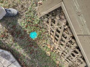 A termite bait station installed in the ground by A Plus Pest Control in Huntsville, AL.