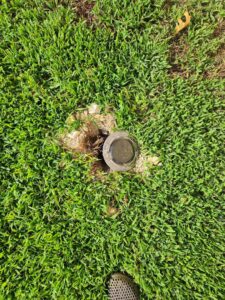 A termite bait station installed in the ground by Moxie Pest Control Bentonville in Springdale, AR.