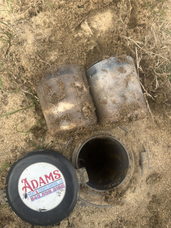 Termite bait stations being installed in the ground by Adams Pest and Termite Control in Austin, TX.