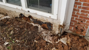 Severe termite damage on a house foundation, showing the need for pest control services from Glenna's Pest Control in Bossier City, LA.