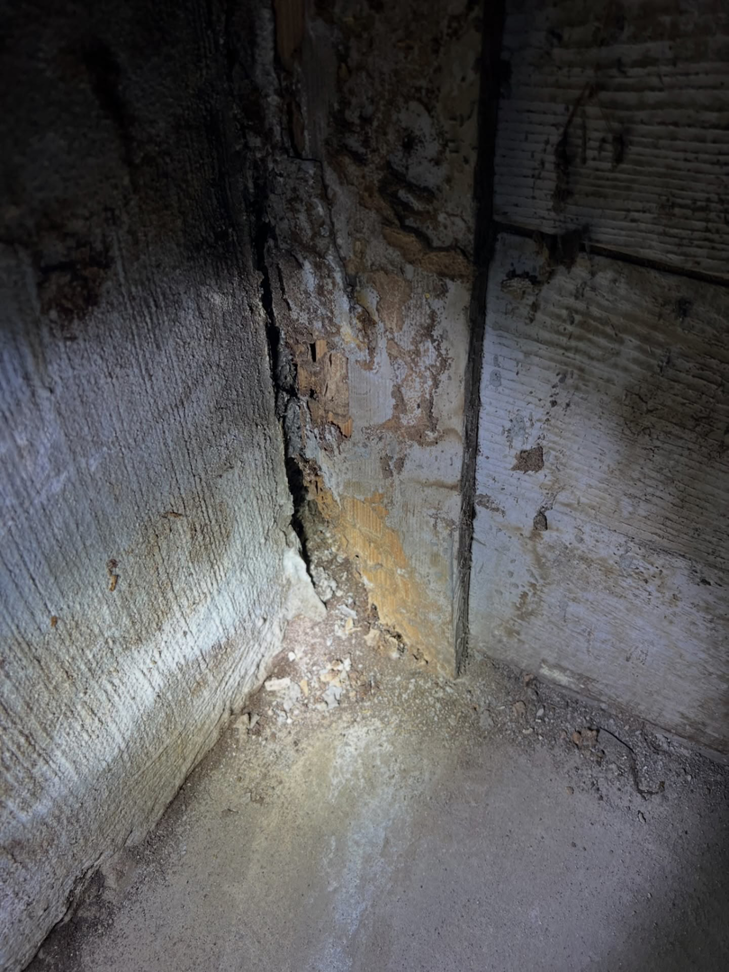 Termite damage and mud tubes visible in a wall corner, indicating pest issues for Pest Lock, Inc. in Vancouver, WA.