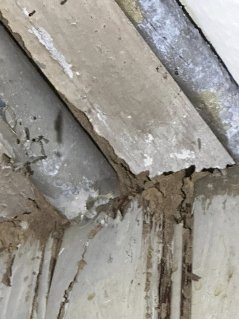 Evidence of termite damage and mud tubes on a wooden structure, showing a pest control issue for 1St State Pest & Home Services in Middletown, DE.