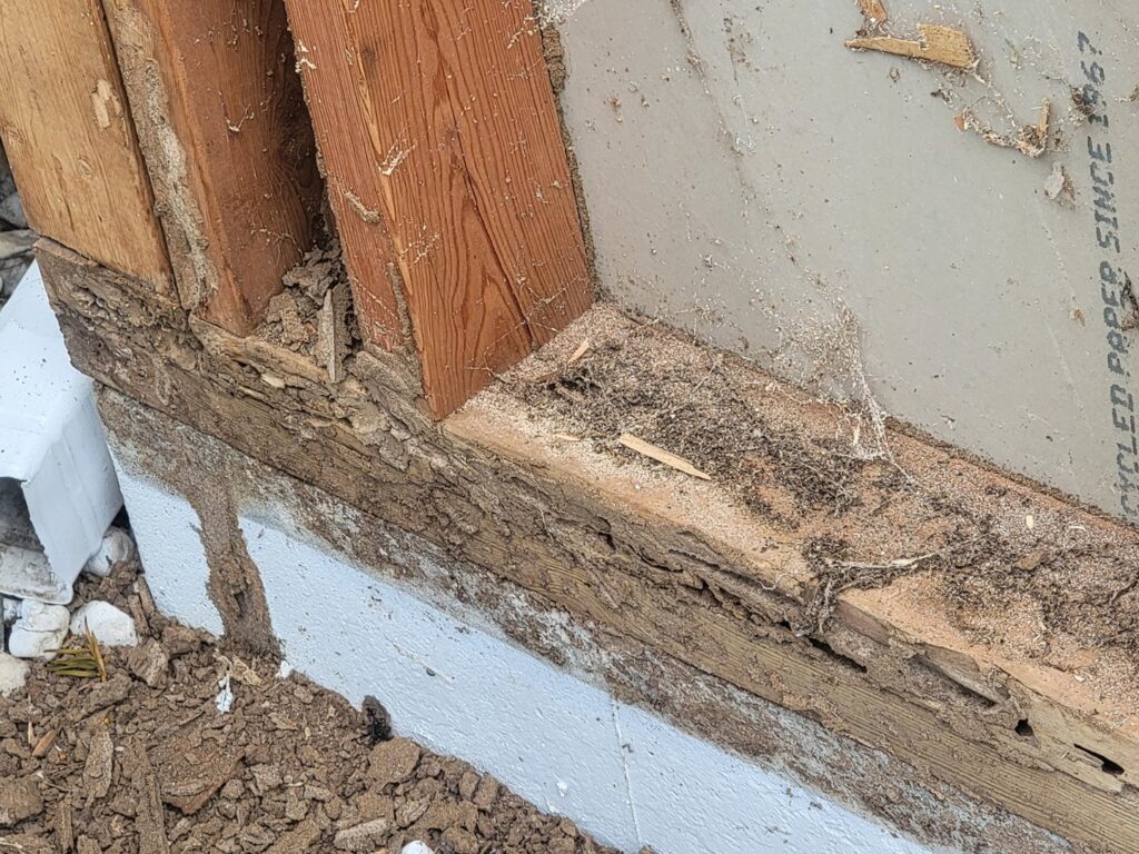 Termite damage visible on a wooden structure near a house foundation, addressed by KC Pest Experts in Olathe, KS.