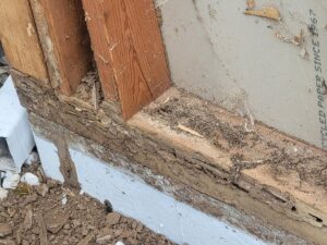 Termite damage visible on a wooden structure near a house foundation, addressed by KC Pest Experts in Olathe, KS.