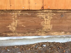 Termite damage visible on a wooden board near the foundation, indicating a pest control need by Pest by MD in Jersey City, NJ.