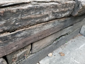 Evidence of termite damage and mud tubes on a wooden structure, handled by GPM - Gruene Pest Management in San Antonio, TX.