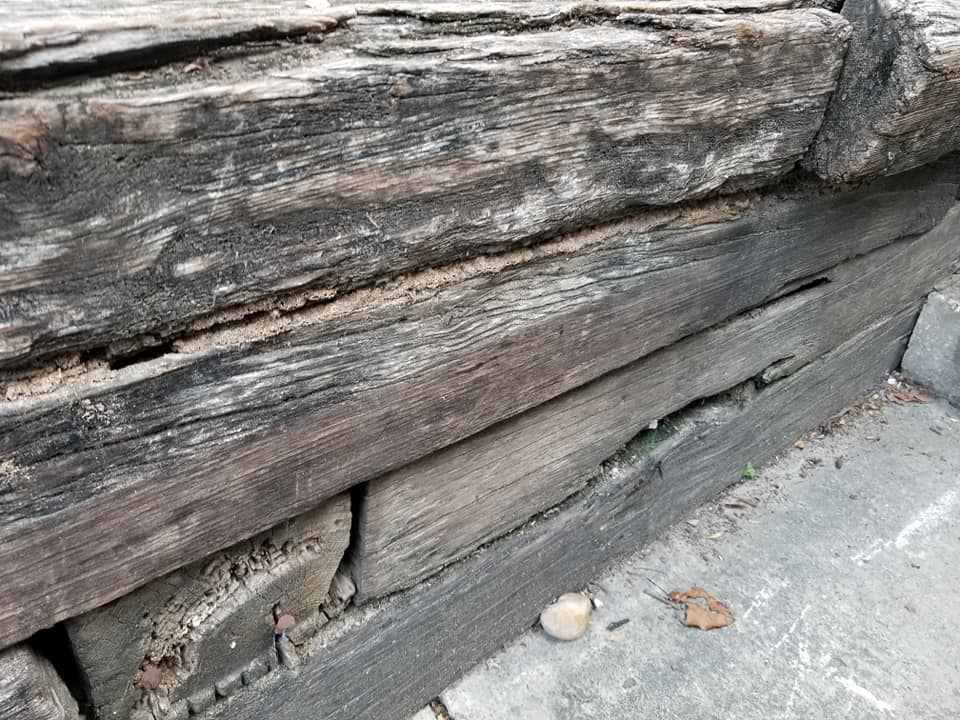 Evidence of termite damage and mud tubes on a wooden structure, handled by GPM - Gruene Pest Management in San Antonio, TX.