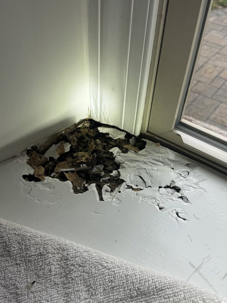 Significant termite damage visible on a window frame, requiring repair and treatment from Genesis Termite and Pest Control in New Holland, PA.