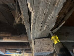 A screwdriver inspecting severe termite damage on a wooden beam, revealing frass, by EcoPro Termite & Pest in Dayton, OH