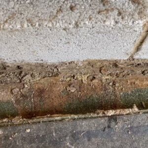 Close-up of termite damage on a wood structure, showing pest activity addressed by Global Green Termite & Pest Control LLC in Hampton, VA.