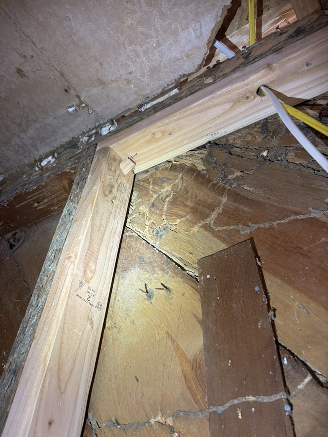 Termite damage visible on wooden beams and walls, indicating a pest control issue addressed by Endurance Pest Management LLC in Stillwater, OK.