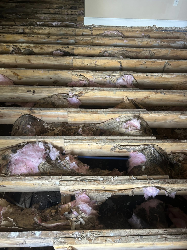 Close-up of severely termite-damaged wooden floor joists with insulation by Hoffman Exterminating in Belle Chasse, LA
