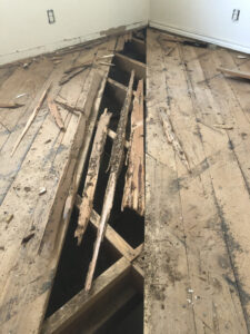 Severely damaged wooden floorboards, likely from termites, addressed by Horizon Pest Control in Carlsbad, NM.