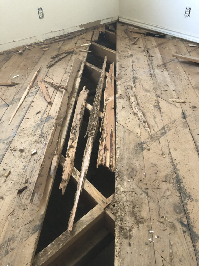Severely damaged wooden floorboards, likely from termites, addressed by Horizon Pest Control in Carlsbad, NM.