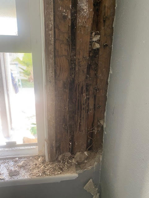 Severe termite damage visible on a wooden window frame, a problem expertly resolved by Mecaf Termite and Pest Control in Long Beach, CA