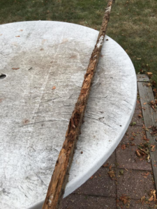 A piece of wood showing extensive damage from termites or other wood-boring pests, a common issue addressed by Bugstoppers Pest Control in Elizabeth, NJ.