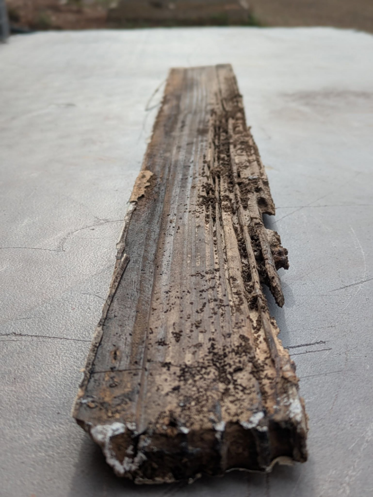 A piece of wood severely damaged by termites, showcasing pest control needs at Quality Creative Pest Services in Birmingham, AL.