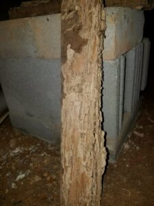 A wooden beam heavily damaged by termites, showing tunnels and frass, indicating a pest control job by Superior Pest Management in Kannapolis, NC.