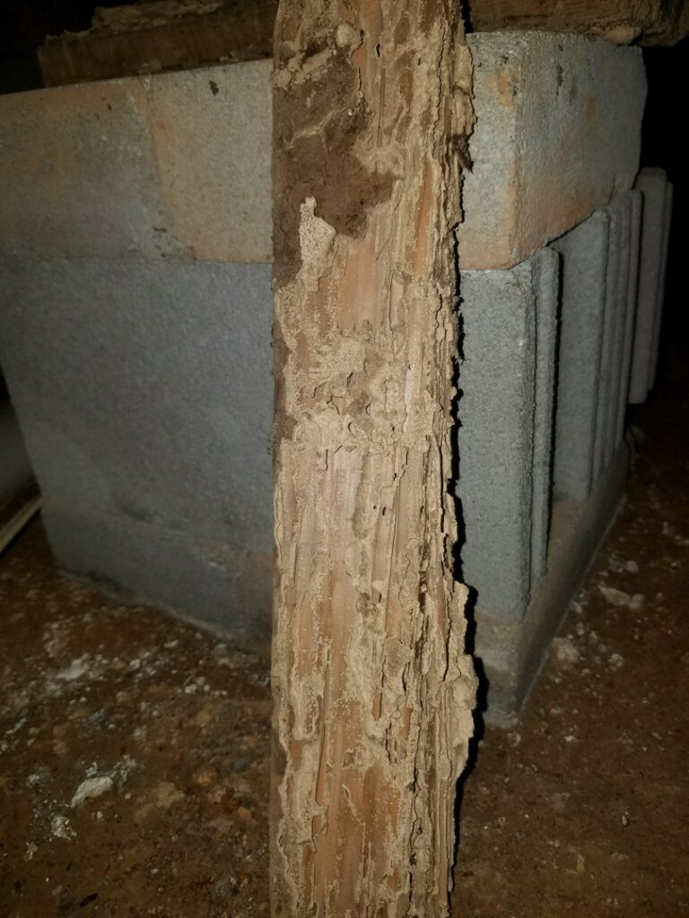 A wooden beam heavily damaged by termites, showing tunnels and frass, indicating a pest control job by Superior Pest Management in Kannapolis, NC.