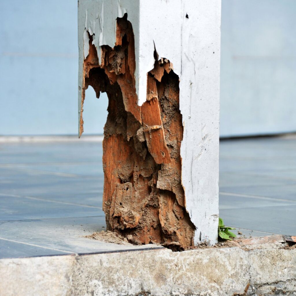 A wooden post severely damaged by termites, indicating a pest control problem addressed by El Valle Pest Control in El Paso, TX