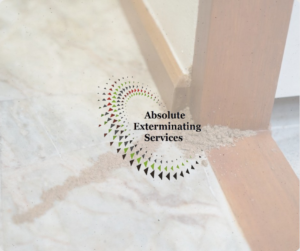 Termite frass and damage visible on a floor, indicating a pest problem addressed by Absolute Exterminating Services in Ellenwood, GA.