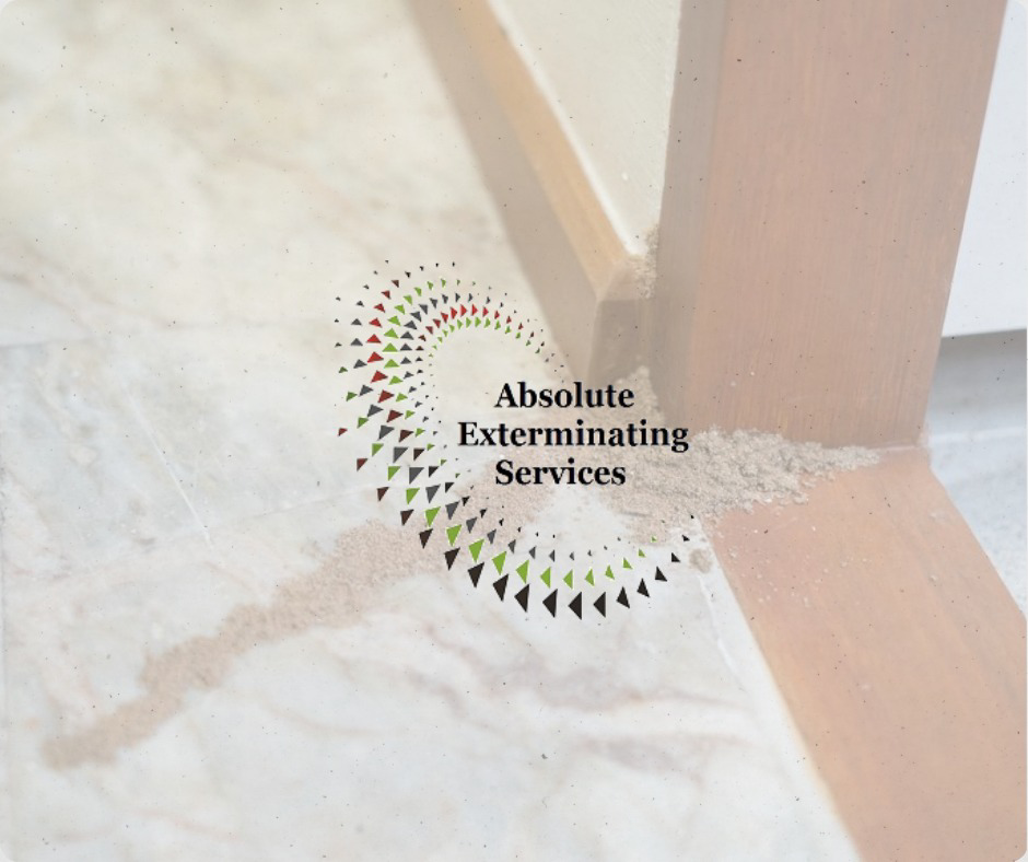 Termite frass and damage visible on a floor, indicating a pest problem addressed by Absolute Exterminating Services in Ellenwood, GA.