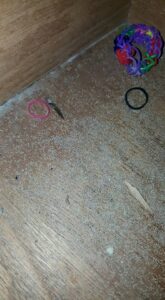 Termite droppings (frass) on a wooden floor, indicating a termite infestation handled by Sellers Pest Control in Summerville, SC.