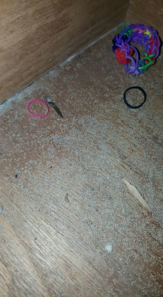 Termite droppings (frass) on a wooden floor, indicating a termite infestation handled by Sellers Pest Control in Summerville, SC.