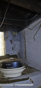 Termite infestation with mud tubes visible on a concrete wall and wooden beams in a basement corner, handled by MJ's Absolute Solutions in Parma, OH.
