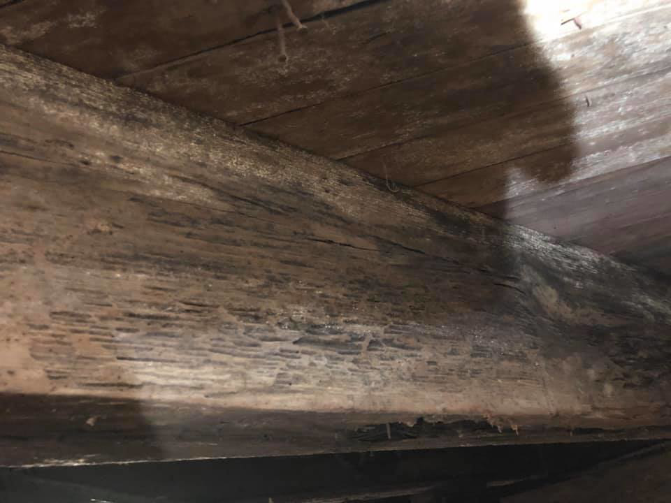 Close-up of a wooden beam showing significant termite or insect damage, treated by Brandon Mcgowan in Little Rock, AR.