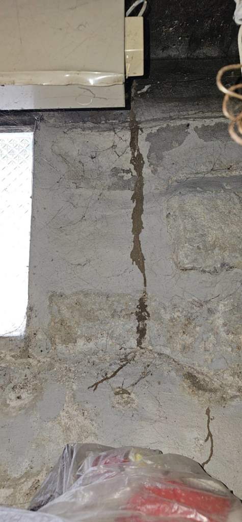A long, thick termite mud tube running down a concrete foundation wall from a window sill, indicating pest control work by MJ's Absolute Solutions in Parma, OH.