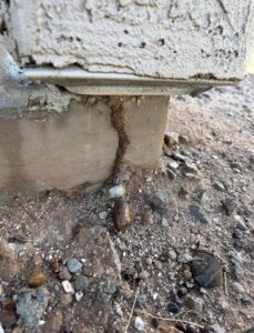 Evidence of termites with a mud tube visible on a concrete block, handled by Steadfast Pest Control in Queen Creek, AZ.